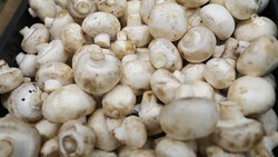 Свежие ставропольские грибы начали поставлять в Армению и Грузию